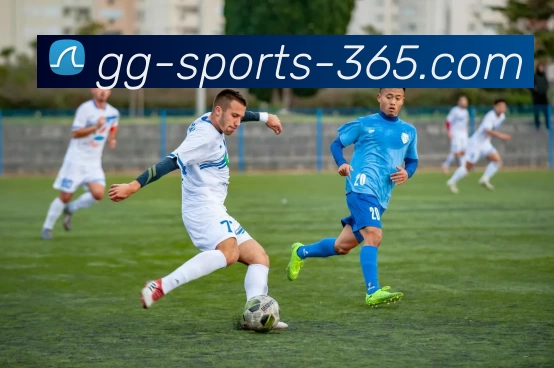 GG体育直播服务体系